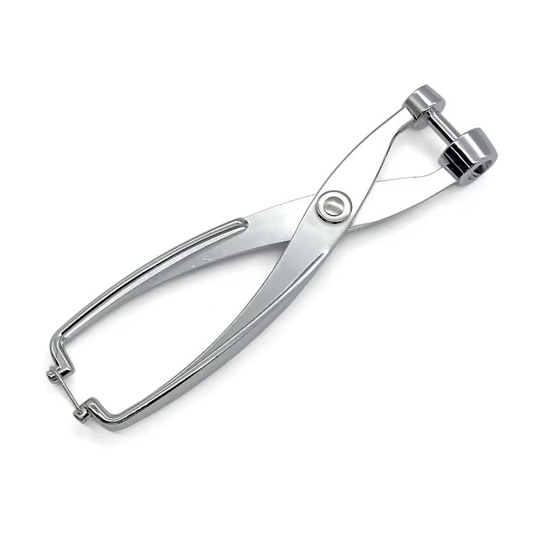 Olive & Cherry Pitter