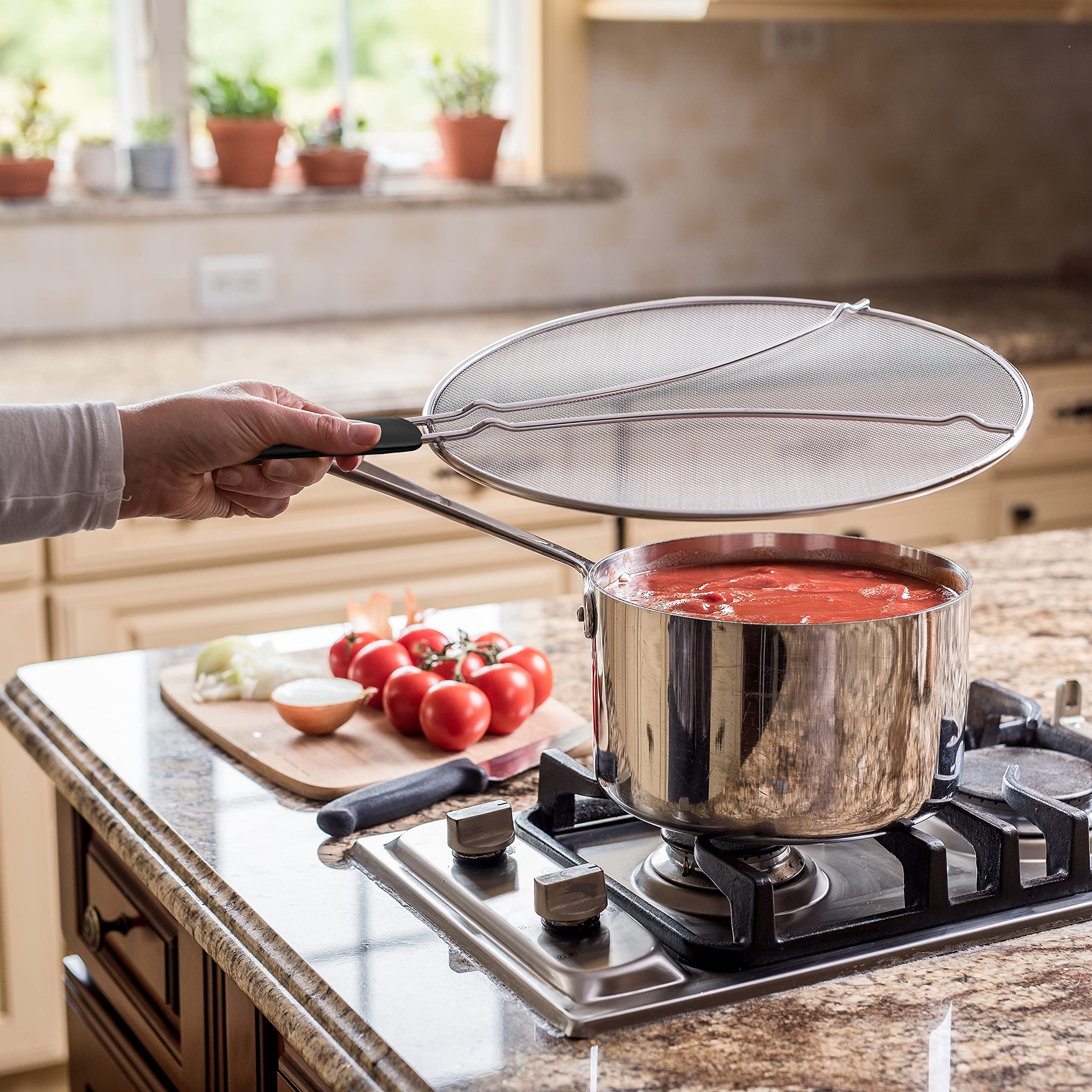 Stainless Steel Splatter Cover