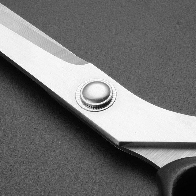 Stainless Steel Student Scissors