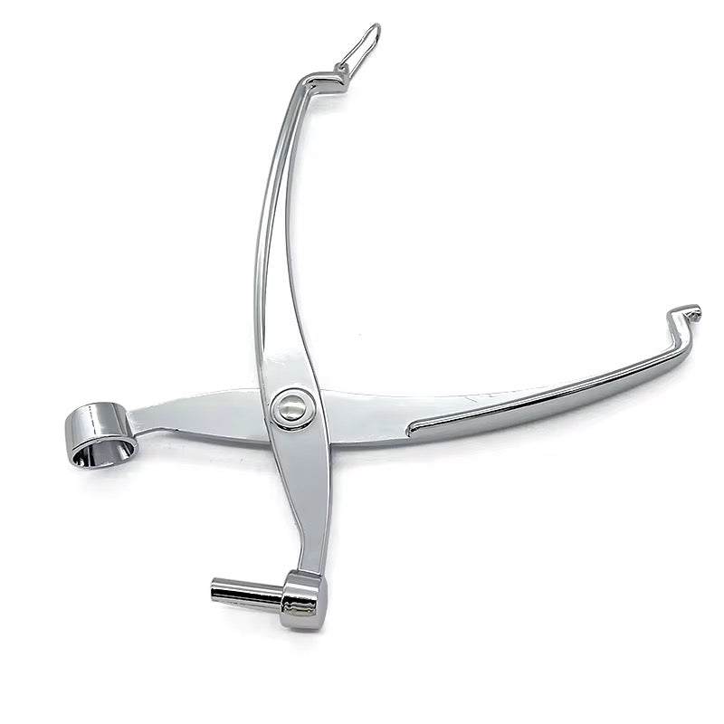 Olive &amp; Cherry Pitter