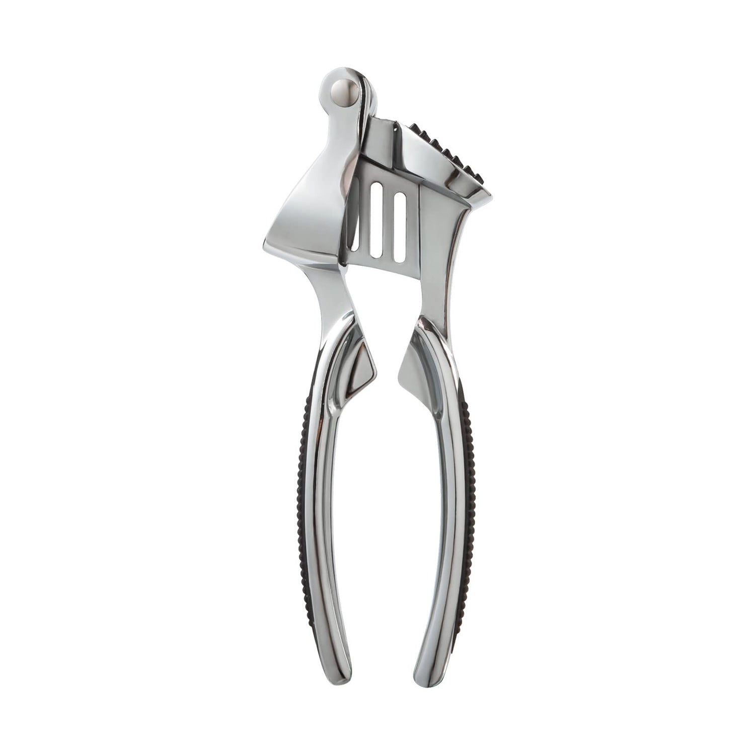 Stainless Steel Garlic Press