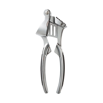 Stainless Steel Garlic Press