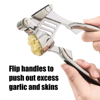 Stainless Steel Garlic Press