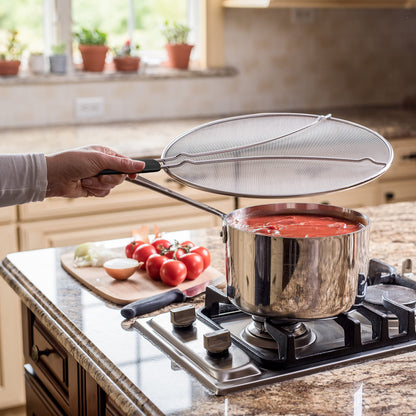 Stainless Steel Splatter Cover