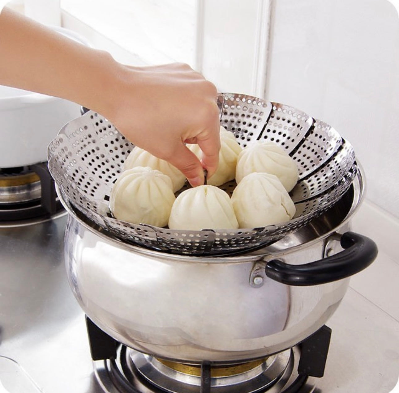 Stainless Steel Vegetable Steamer
