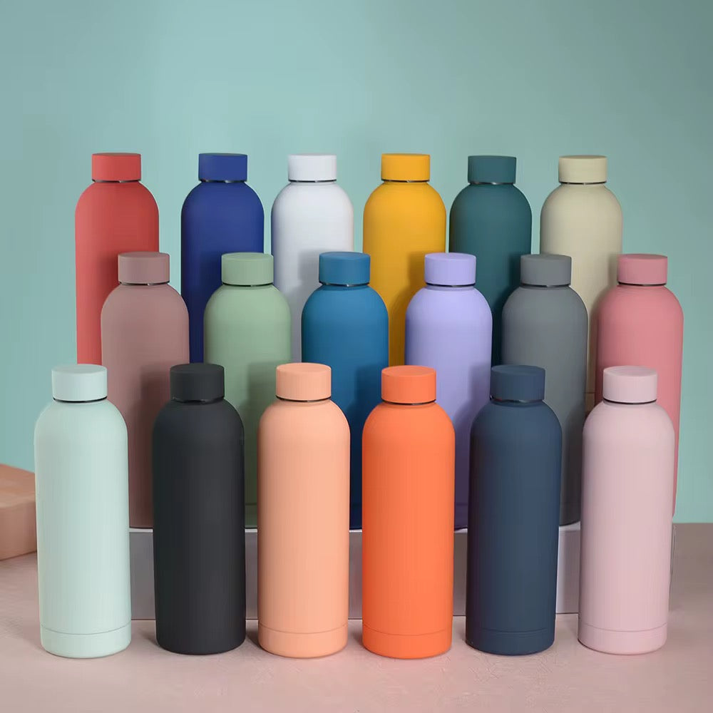Colored Stainless Steel Water Bottle