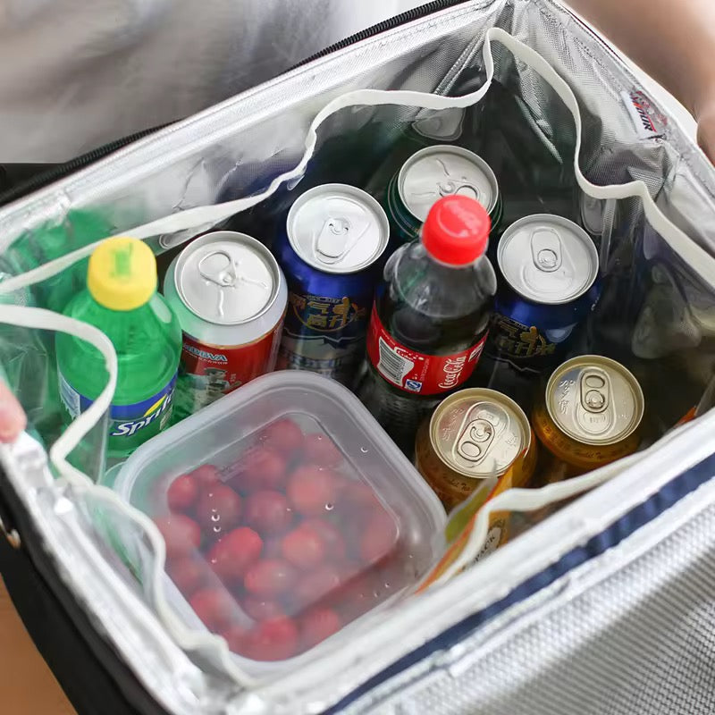 Large Insulated Preserving Bag