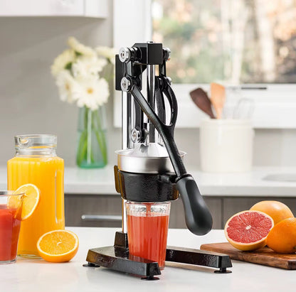 Citrus Hand Press Juicer